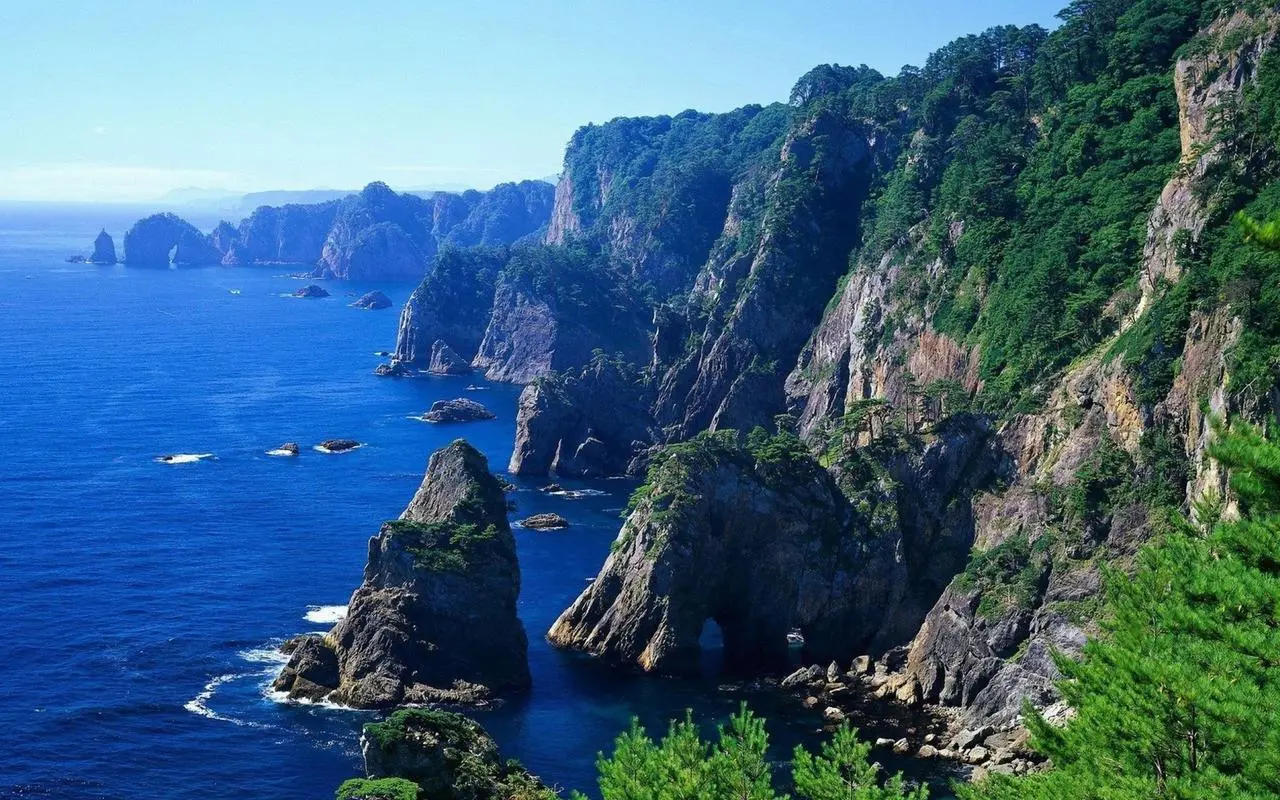 高性能全自动智能